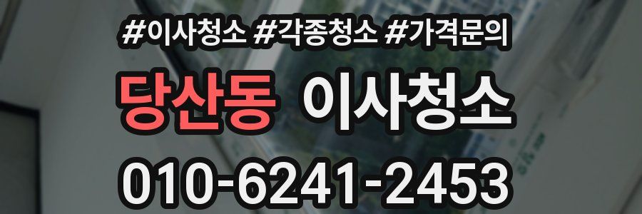 당산동 이사청소