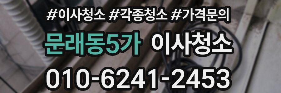 문래동5가 이사청소