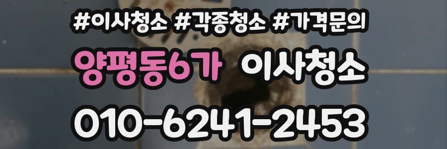 양평동6가 이사청소