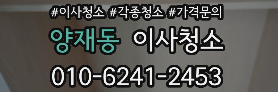 양재동 이사청소