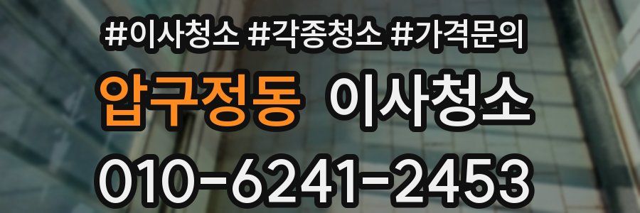 압구정동 이사청소