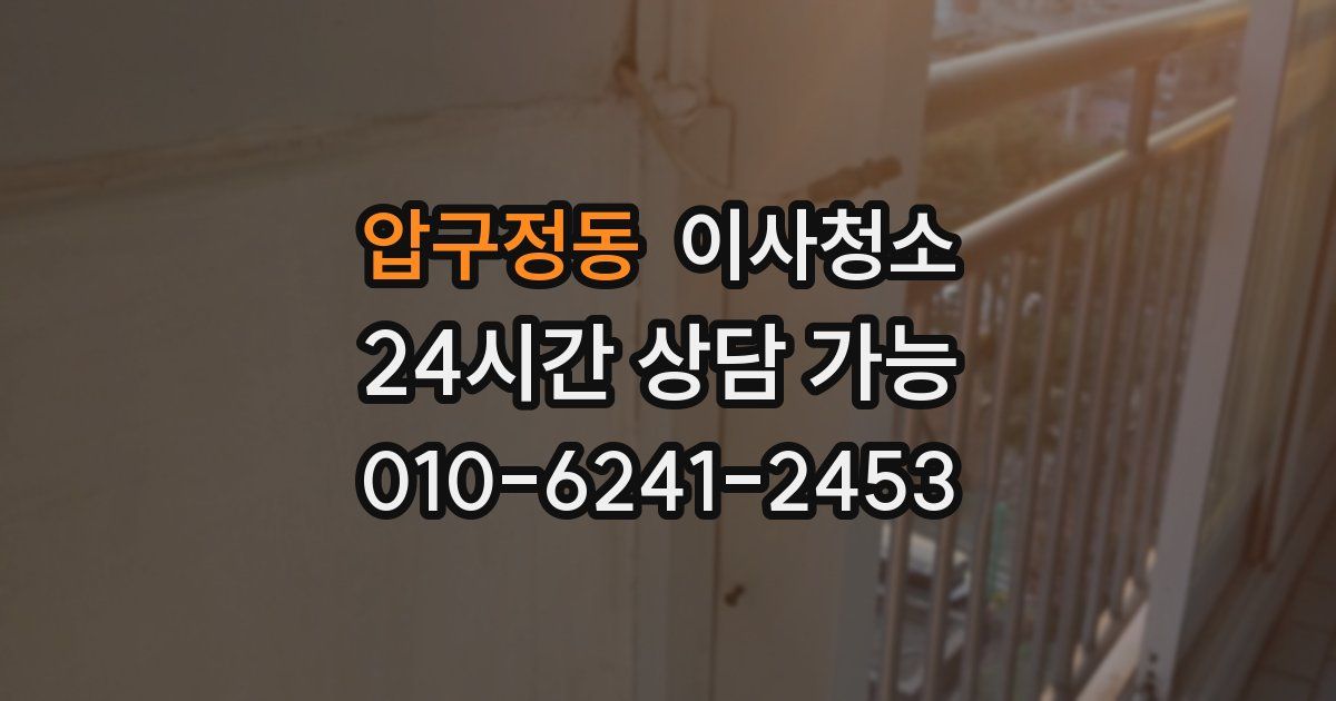 압구정동 입주청소