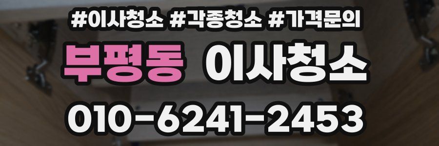 부평동 이사청소