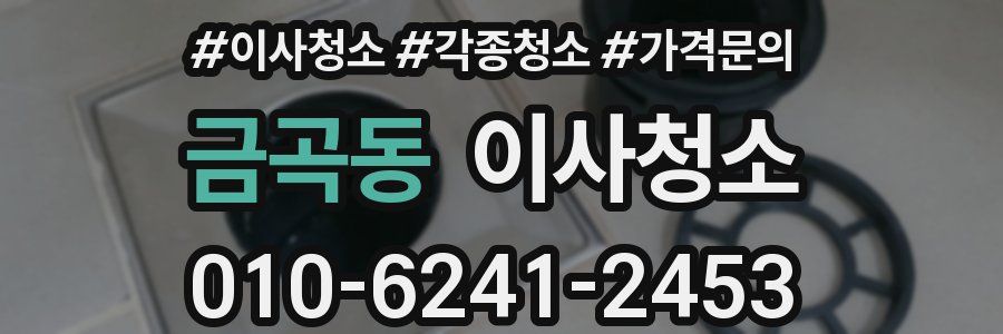 금곡동 이사청소