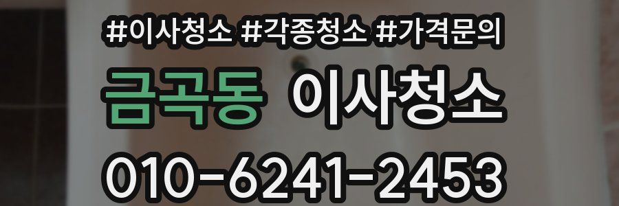 금곡동 이사청소