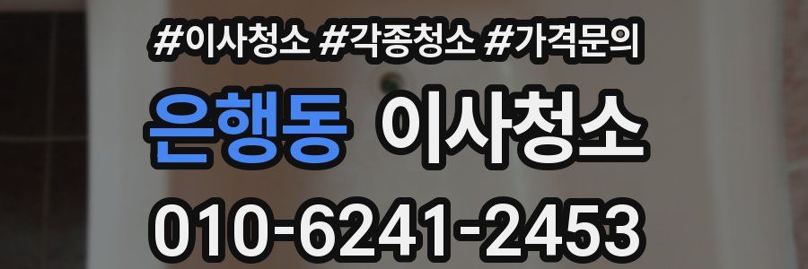 은행동 이사청소
