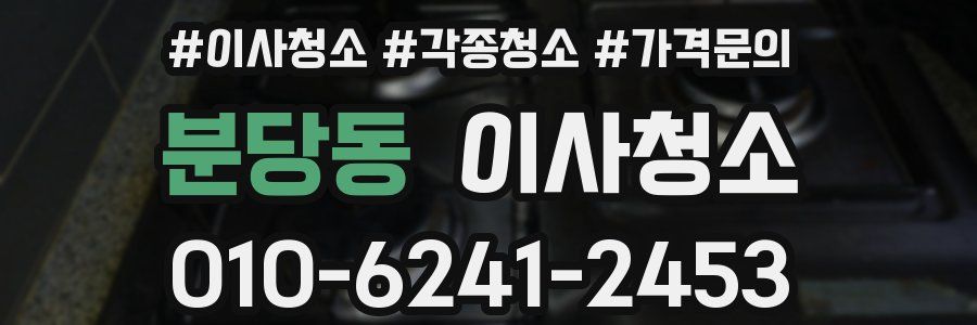 분당동 이사청소