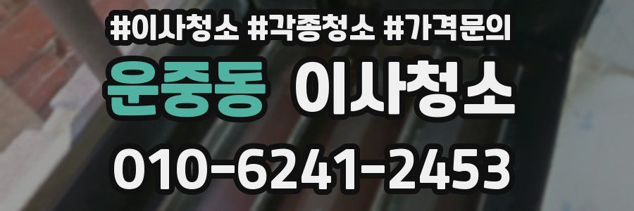 운중동 이사청소