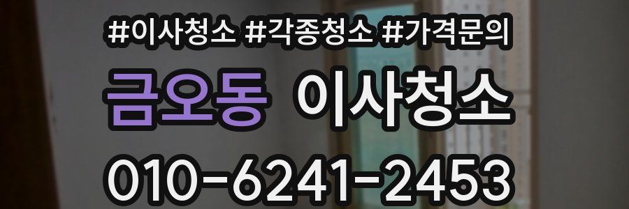 금오동 이사청소