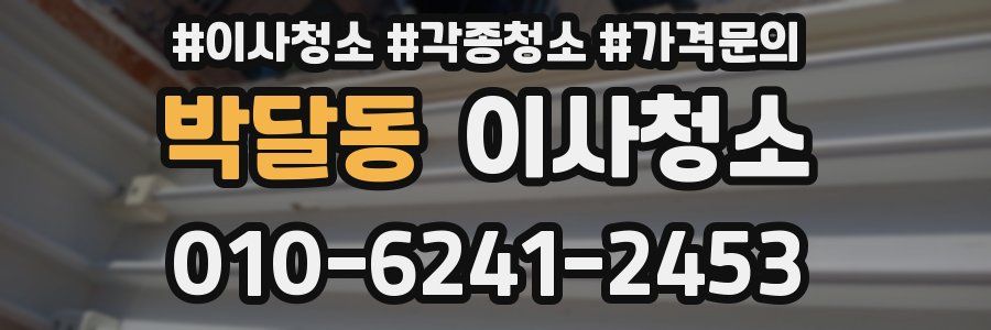 박달동 이사청소