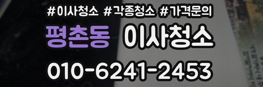 평촌동 이사청소