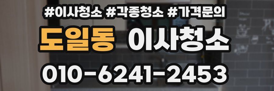 도일동 이사청소