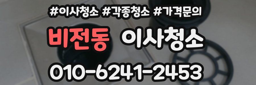 비전동 이사청소