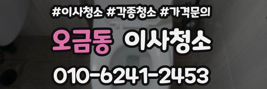 오금동 이사청소