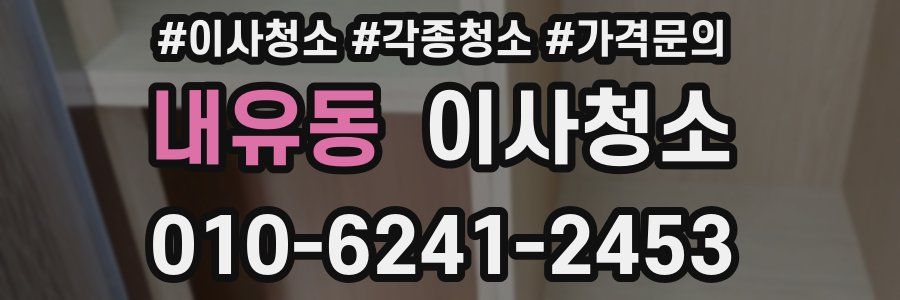 내유동 이사청소