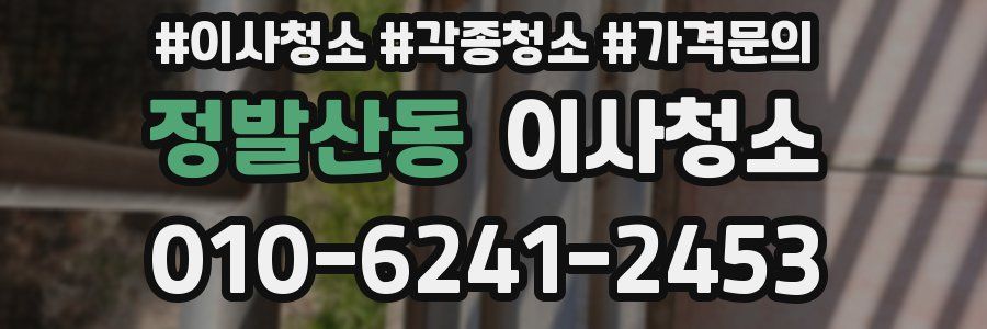 정발산동 이사청소