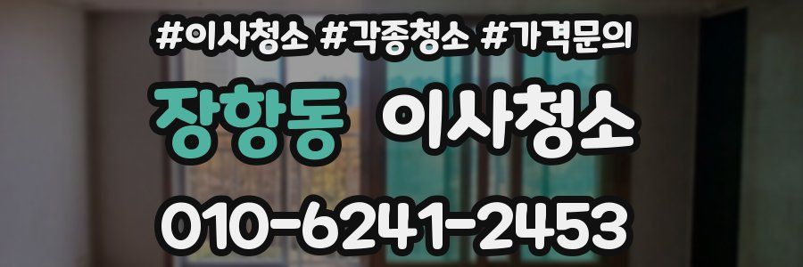 장항동 이사청소