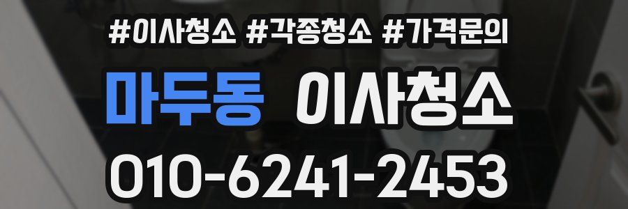 마두동 이사청소