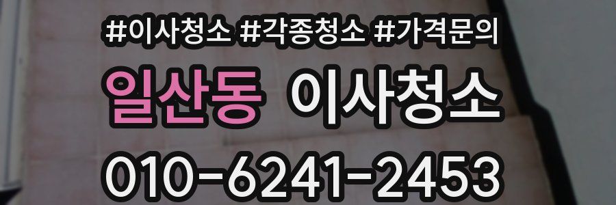 일산동 이사청소