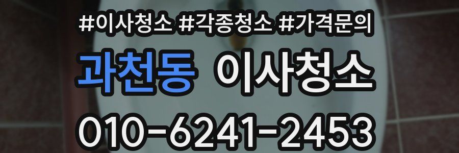 과천동 이사청소