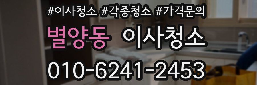 별양동 이사청소