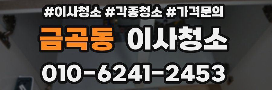 금곡동 이사청소