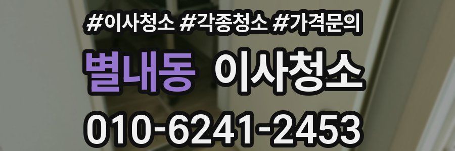 별내동 이사청소