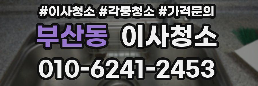 부산동 이사청소