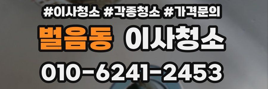 벌음동 이사청소