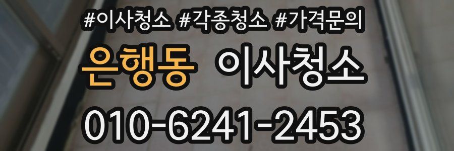 은행동 이사청소