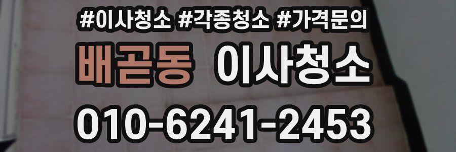 배곧동 이사청소