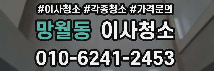 망월동 이사청소