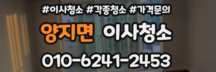 양지면 이사청소