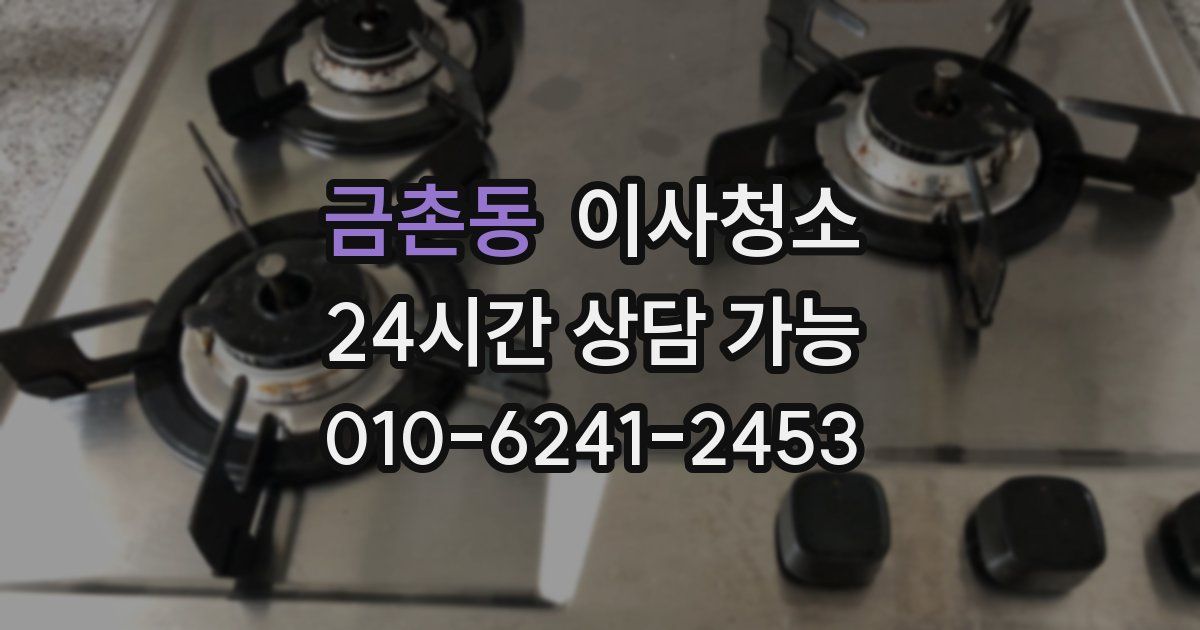 금촌동 입주청소