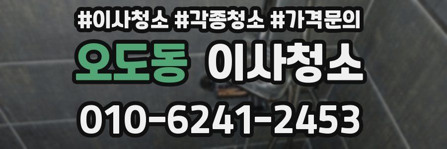 오도동 이사청소