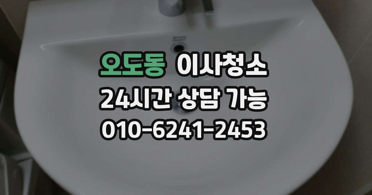 오도동 입주청소