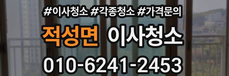 적성면 이사청소