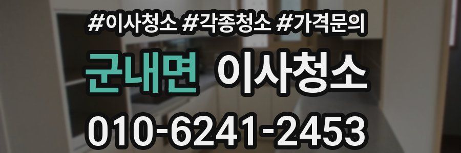 군내면 이사청소