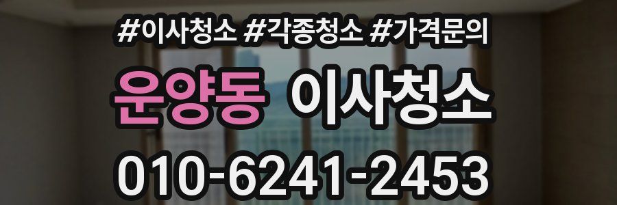 운양동 이사청소