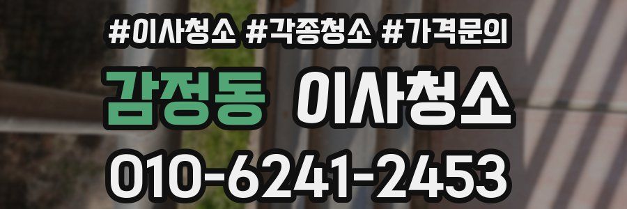 감정동 이사청소