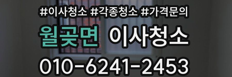 월곶면 이사청소