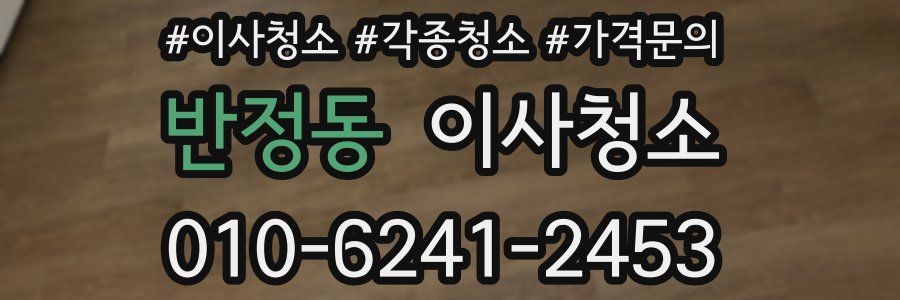 반정동 이사청소