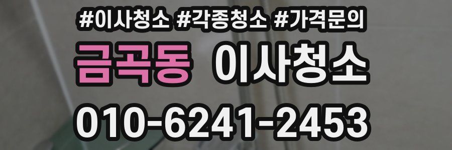 금곡동 이사청소