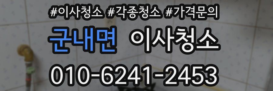 군내면 이사청소