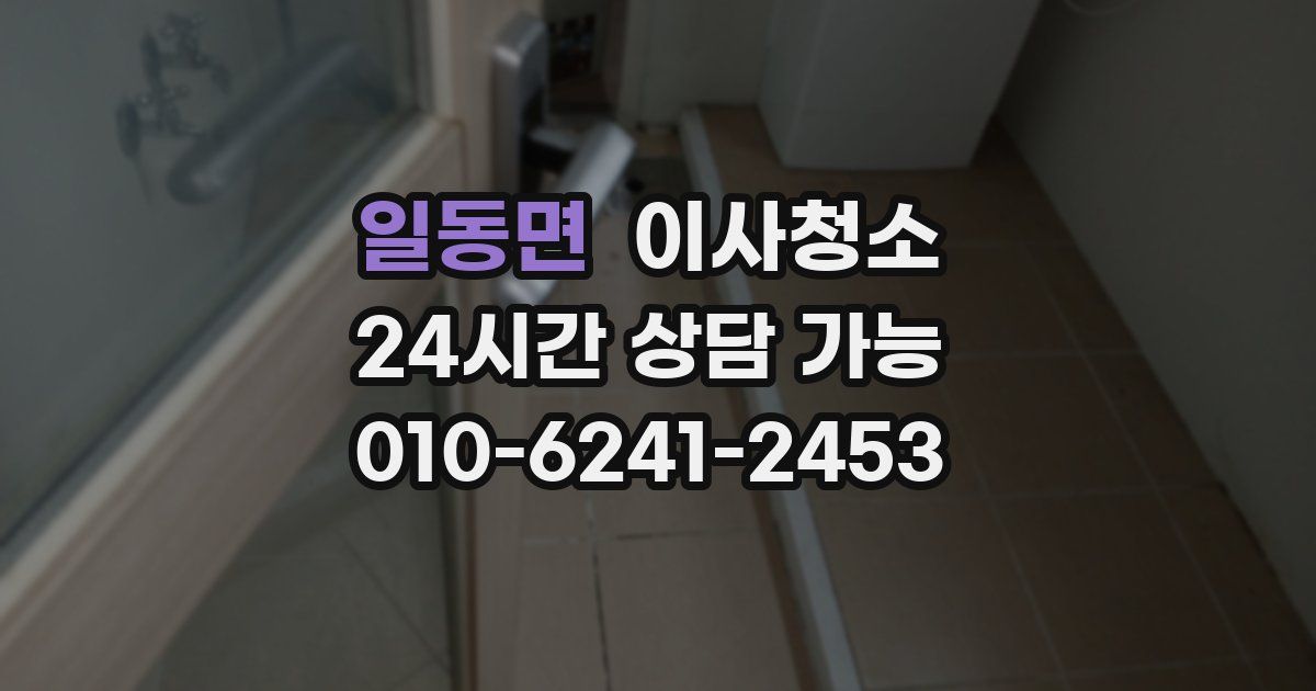 일동면 입주청소
