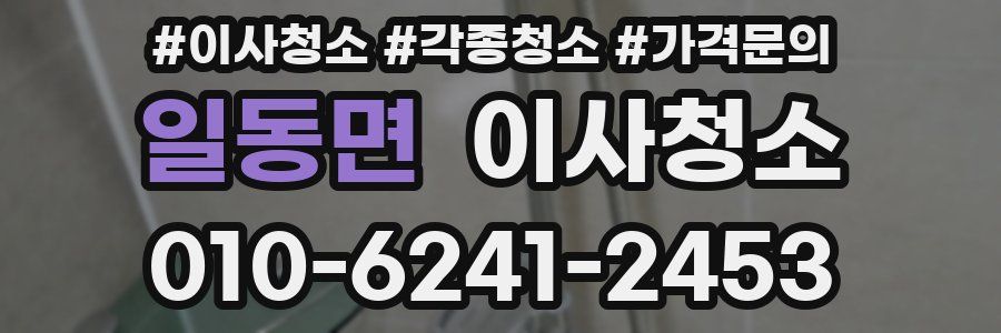 일동면 이사청소