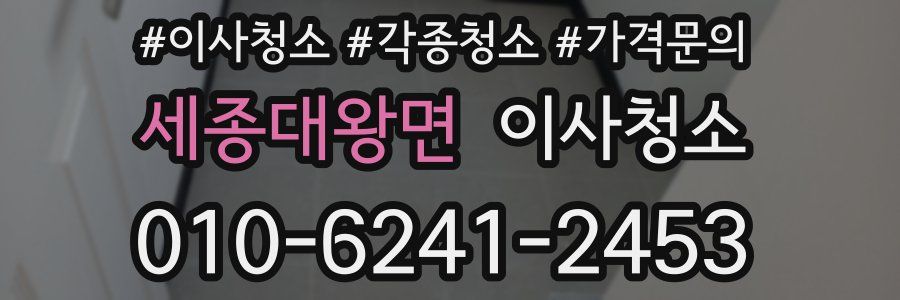 세종대왕면 이사청소