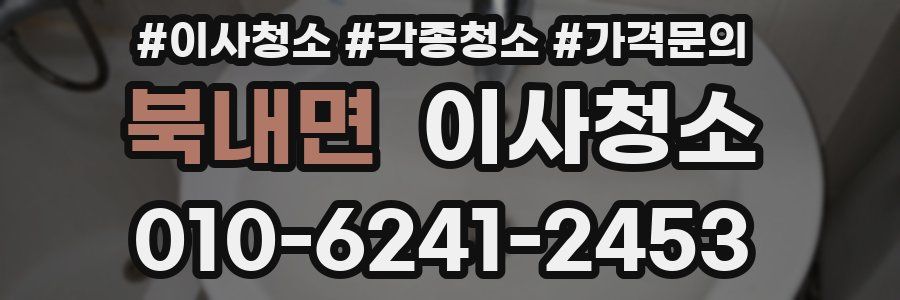 북내면 이사청소