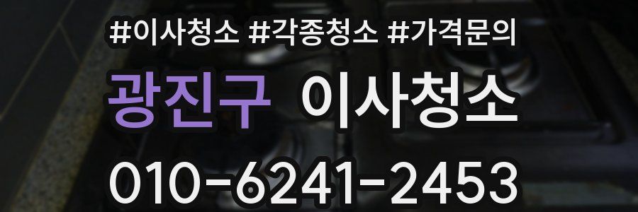 광진구 이사청소