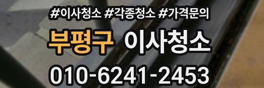 부평구 이사청소